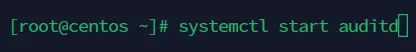 systemctl start auditd