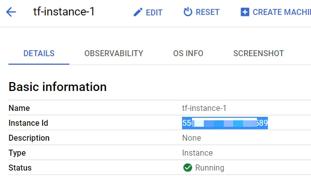 Instance ID